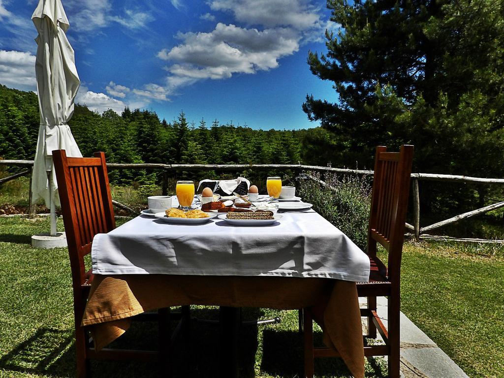 Guesthouse Rodamos Taxiarkhis  Exteriér fotografie